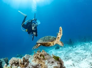 Scuba Diving in Lakshadweep