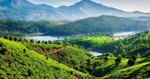 Munnar: Tea Trails in the Rain
