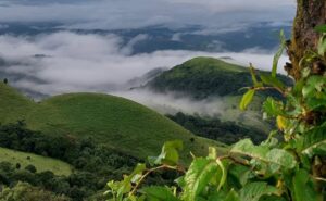 Coorg: The Scotland of India in Rain’s Embrace