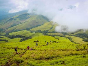 Chikmagalur: Monsoon with a Shot of Coffee